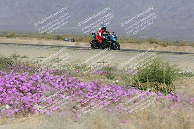 media/Feb-04-2023-SoCal Trackdays (Sat) [[8a776bf2c3]]/Turn 15 Inside Blooming (1050am)/